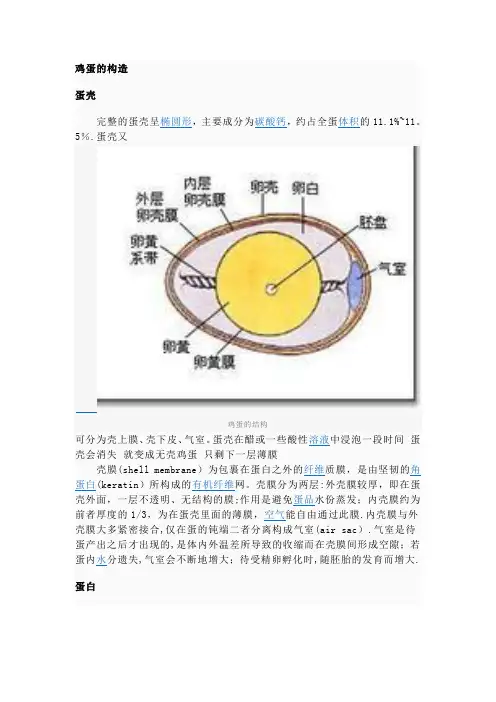 鸡蛋的构造及解说