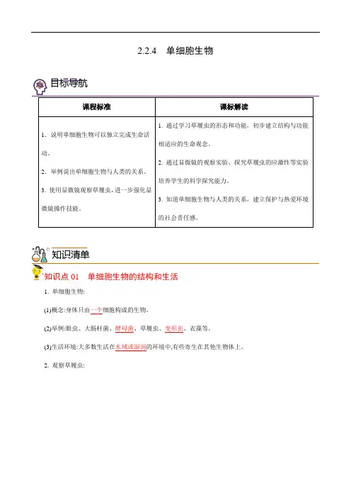 2.2.4 单细胞生物(教师版)-2024年秋季七年级上册生物同步讲义(人教版 )