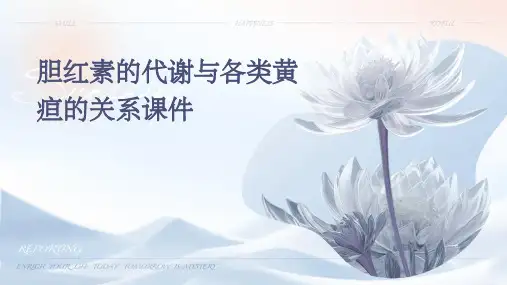 胆红素的代谢与各类黄疸的关系课件
