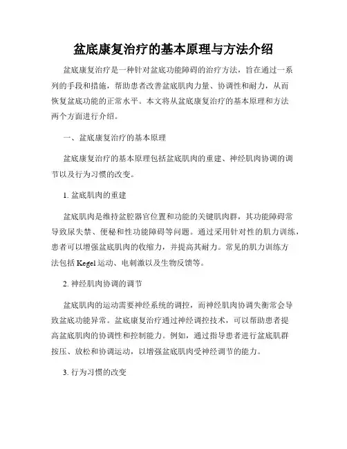 盆底康复治疗的基本原理与方法介绍