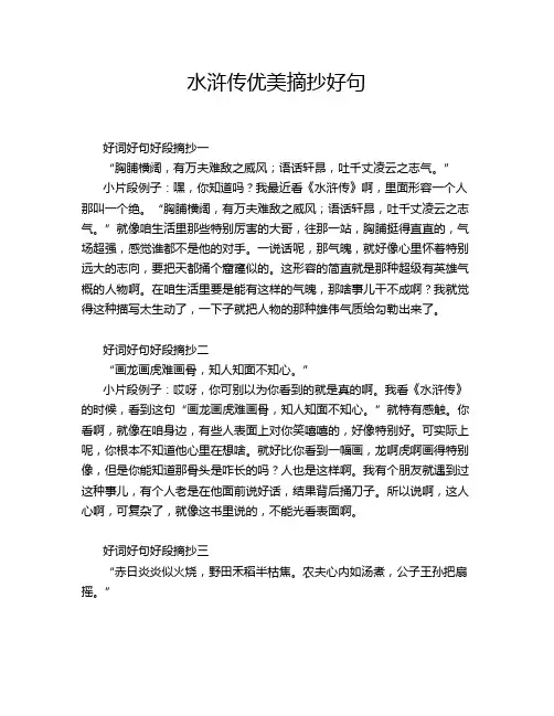水浒传优美摘抄好句