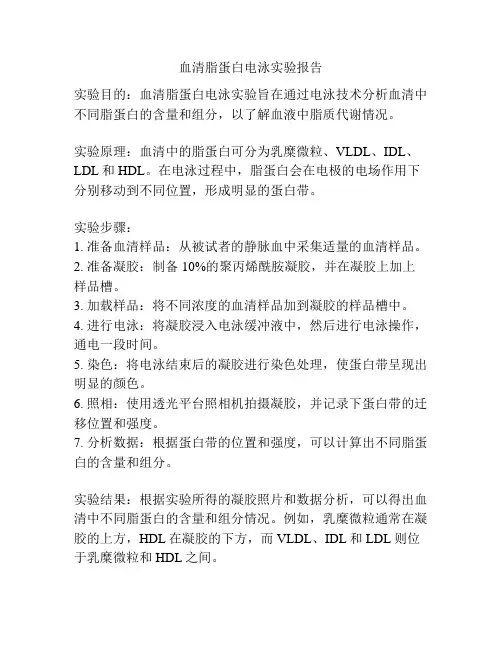 血清脂蛋白电泳实验报告