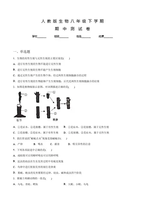 人教版生物八年级下册《期中考试题》附答案解析