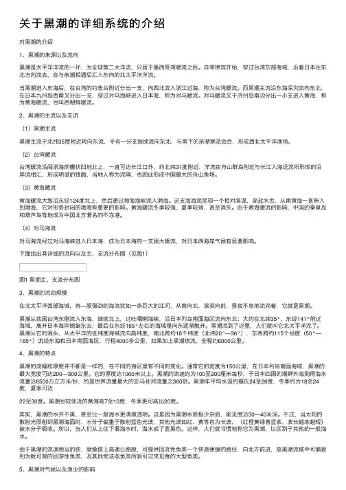 关于黑潮的详细系统的介绍