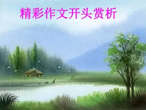 初中作文指导：《精彩作文开头赏析》PPT