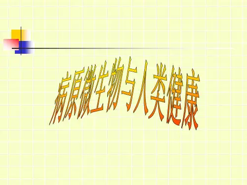 呼吸道传染病精品PPT课件