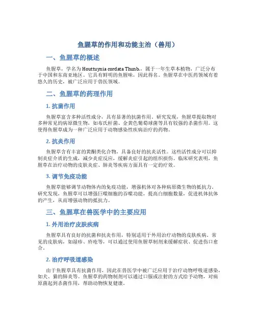鱼腥草的作用和功能主治兽用