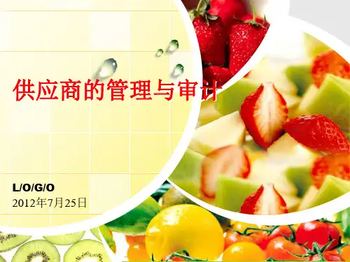 供应商的管理与审计PPT
