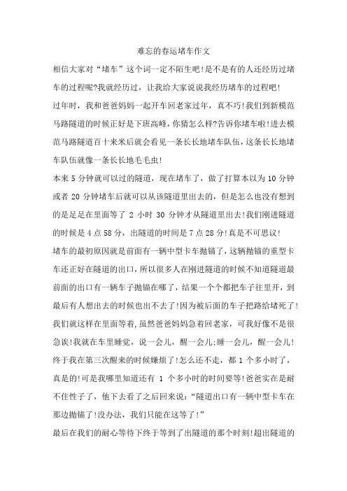 难忘的春运堵车作文