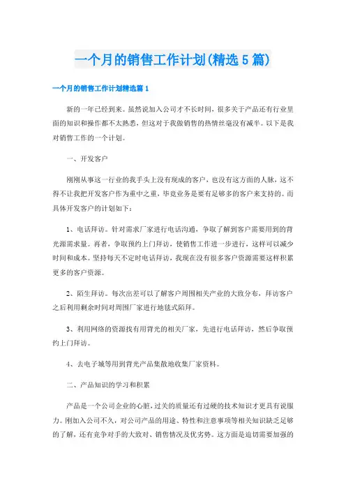 一个月的销售工作计划(精选5篇)