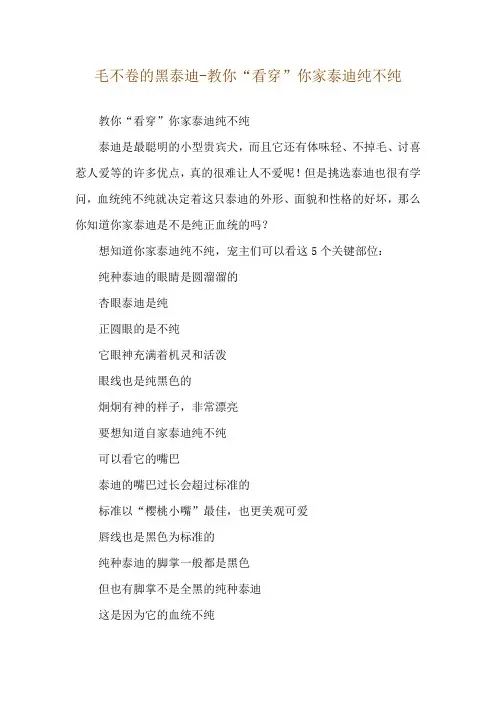 毛不卷的黑泰迪-教你“看穿”你家泰迪纯不纯