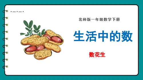 北师大版小学数学一年级下册3.1 《数花生》课件
