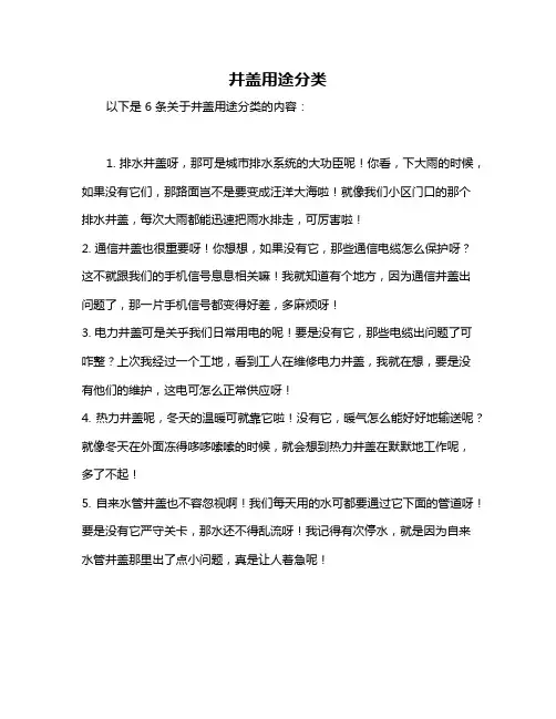 井盖用途分类