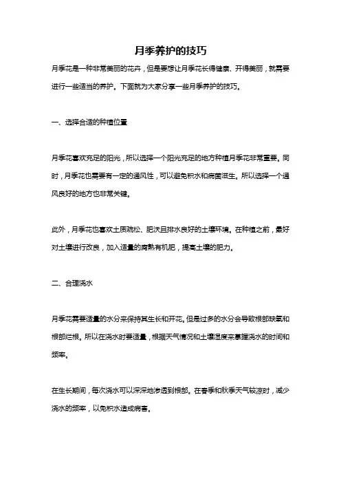 月季养护的技巧