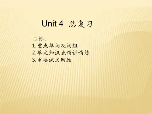 人教版九年级英语 Unit4  复习课件 (共15张ppt)