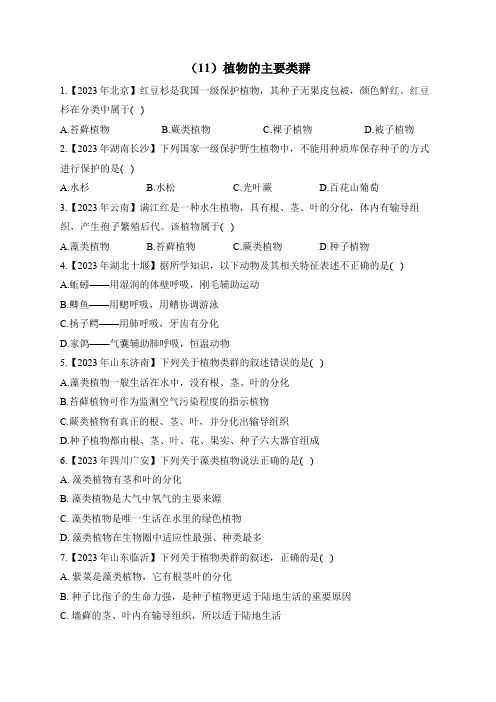 2023年中考生物真题分项汇编(11)植物的主要类群(含解析)