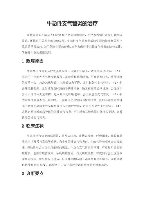 牛急性支气管炎的治疗