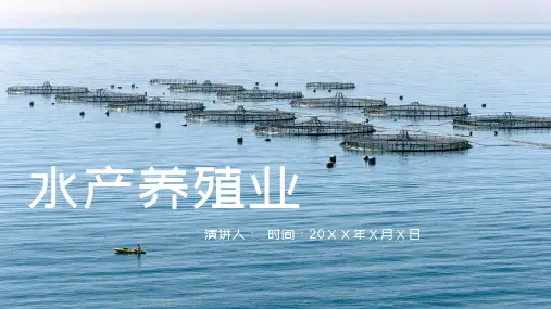 水产养殖渔业通用PPT