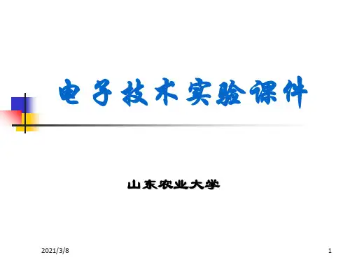 《电子技术实验》PPT课件