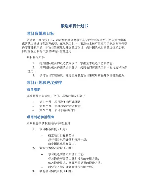 锻造项目计划书