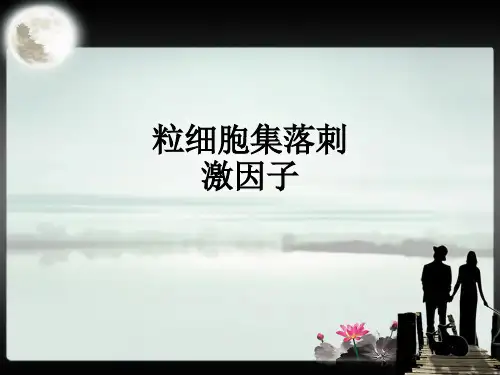 粒细胞集落刺激因子ppt课件