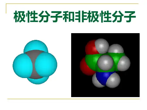 极性分子和非极性分子