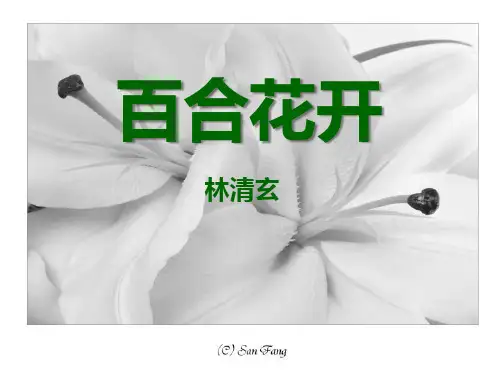 《百合花开》PPT课件