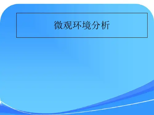 第六课时微观环境分析