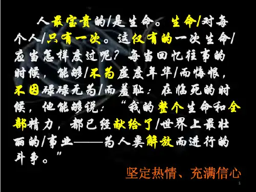 生命的意义 (2)ppt课件