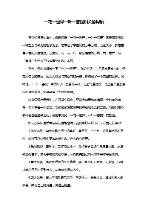 一花一世界一叶一菩提相关的词语