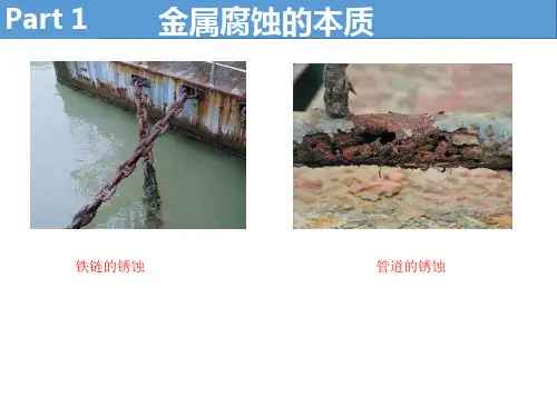 金属的腐蚀与防护2.pptx