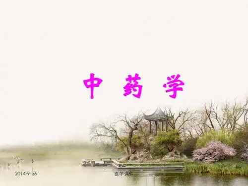 中药学--总论  PPT课件