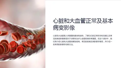 心脏和大血管正常及基本病变影像