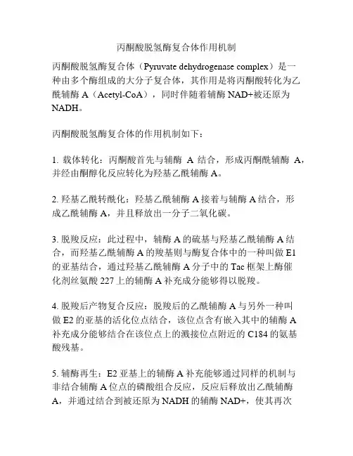 丙酮酸脱氢酶复合体作用机制