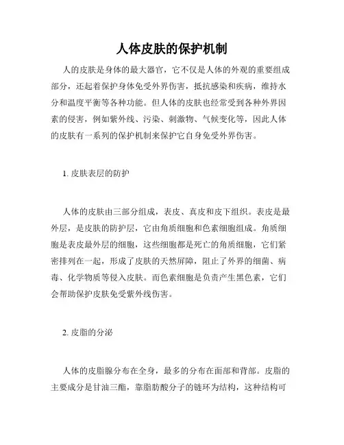 人体皮肤的保护机制