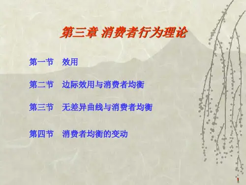 经济学原理第三章消费者行为理论