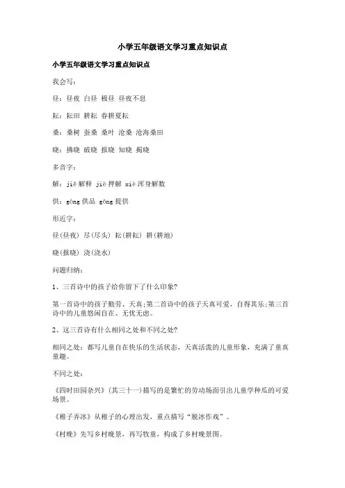 小学五年级语文学习重点知识点