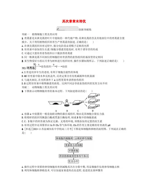 江苏专版2024_2025学年新教材高中生物第二章细胞工程章末培优苏教版选择性必修3
