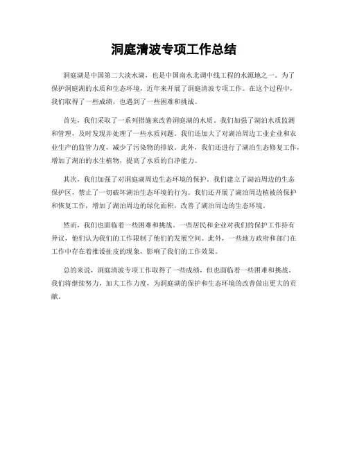 洞庭清波专项工作总结