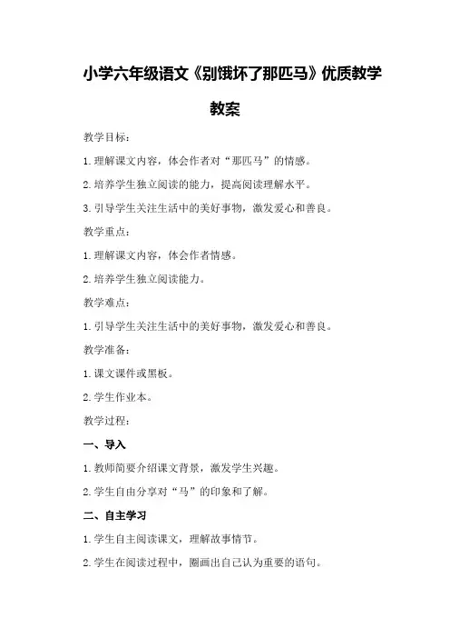小学六年级语文《别饿坏了那匹马》优质教学教案