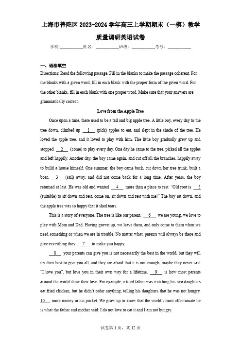 上海市普陀区2023-2024学年高三上学期期末(一模)教学质量调研英语试卷