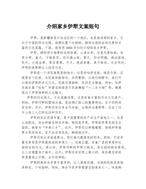 介绍家乡伊犁文案短句