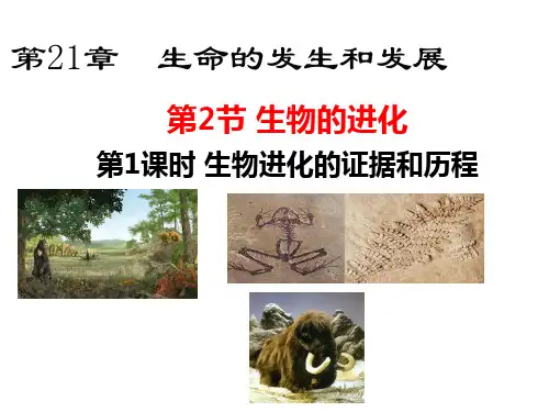 北师大版八年级生物下册第七单元生命的演化 第21章 生命的发生和发展 第2节 生物的进化