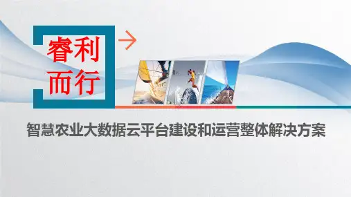 XXX省智慧农业大数据云平台建设和运营整体解决方案