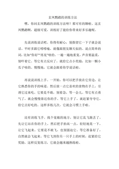 玄凤鹦鹉的训练方法