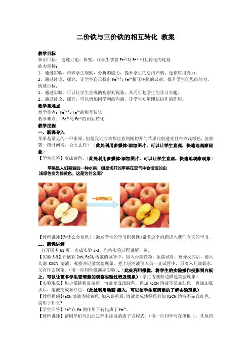 二价铁与三价铁的相互转化 教案-高一上学期人教版化学(2019)必修第一册