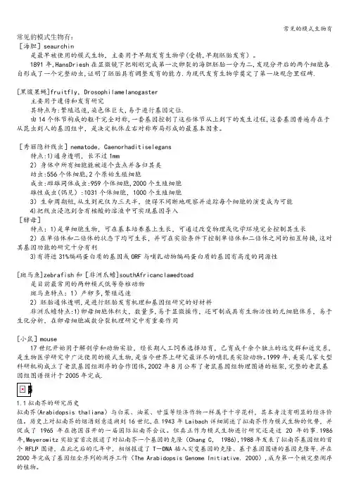 常见的模式生物有