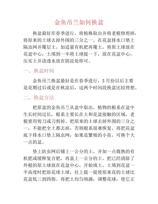 金鱼吊兰如何换盆-养花技巧