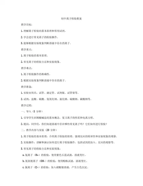 初中离子检验教案