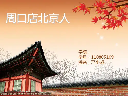 周口店北京人PPT课件